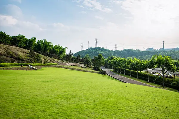 espacio verde